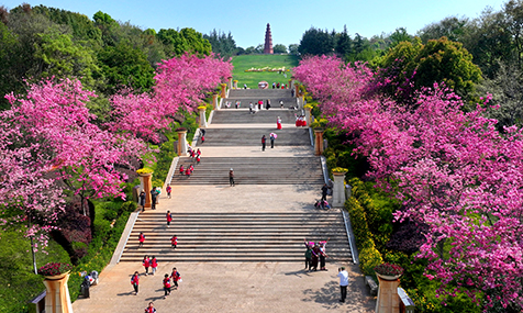 春和景明踏青賞花